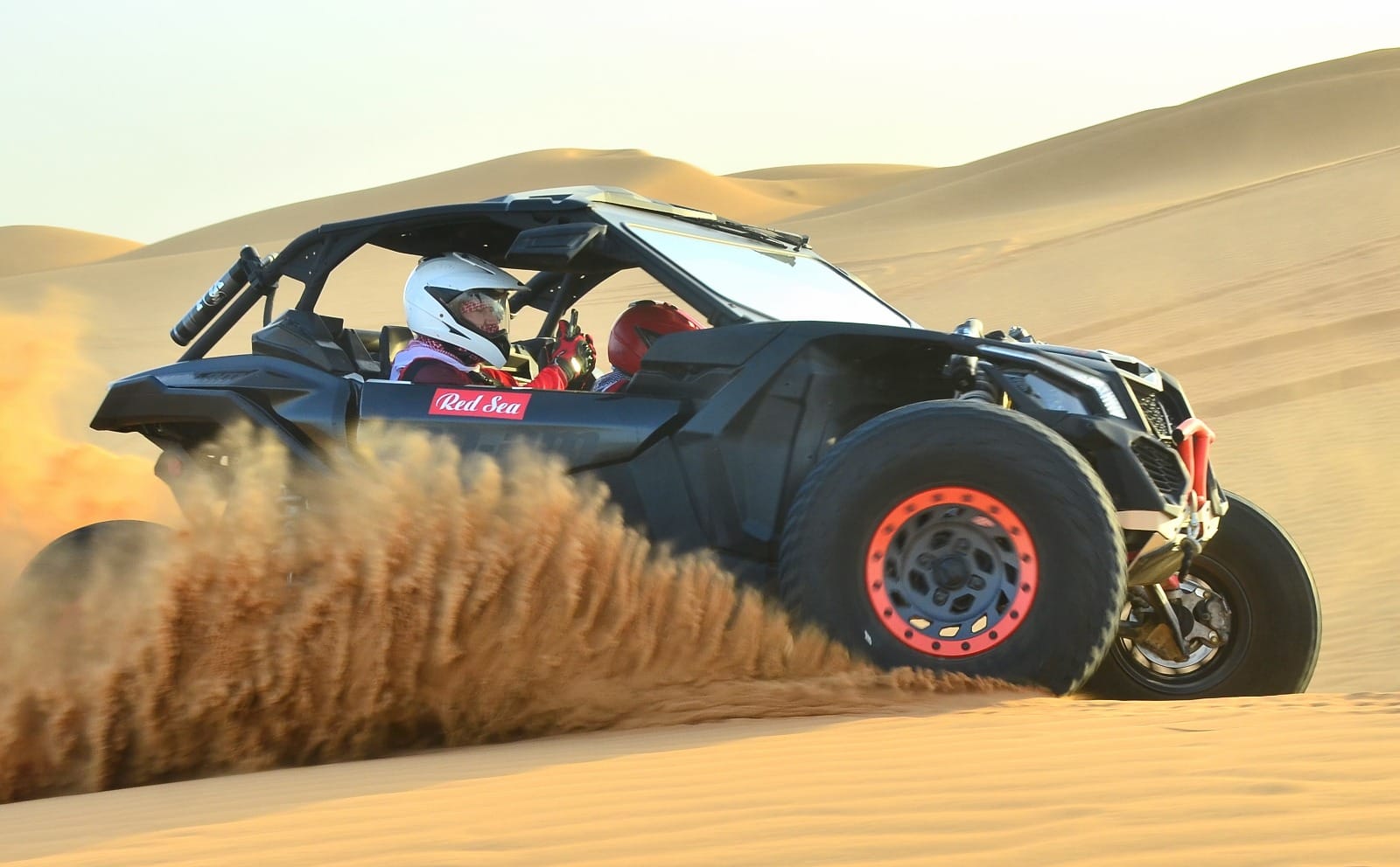Buggy_Image_2